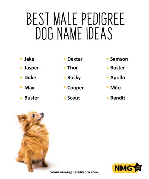 Pedigree Dog Name Generator And Ideas Name Generator Pro Pedigree Dog Name Generator And Ideas Name Generator Pro